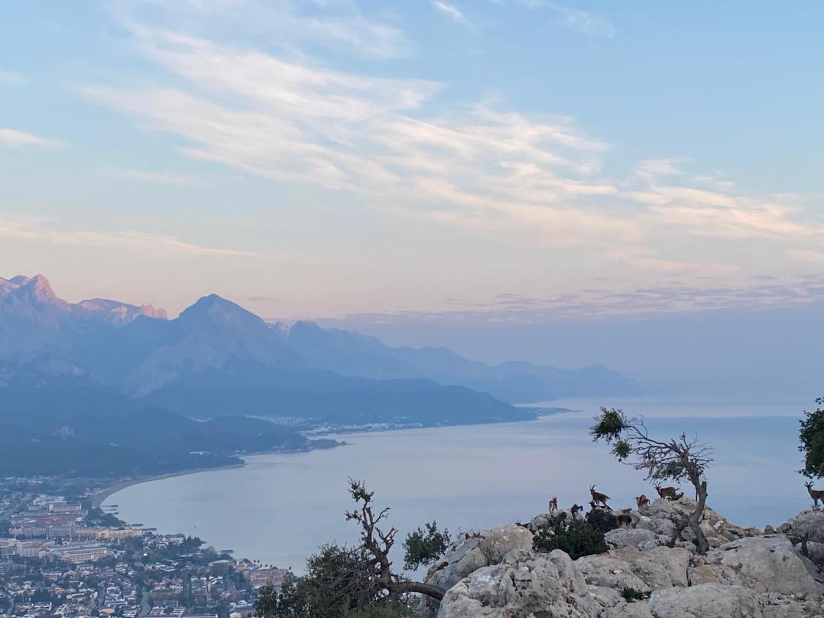 Naturella Apart Hotel Kemer Exteriör bild