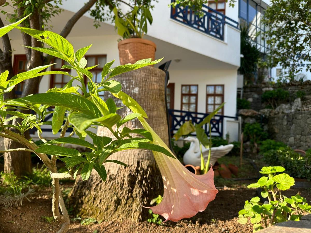 Naturella Apart Hotel Kemer Exteriör bild