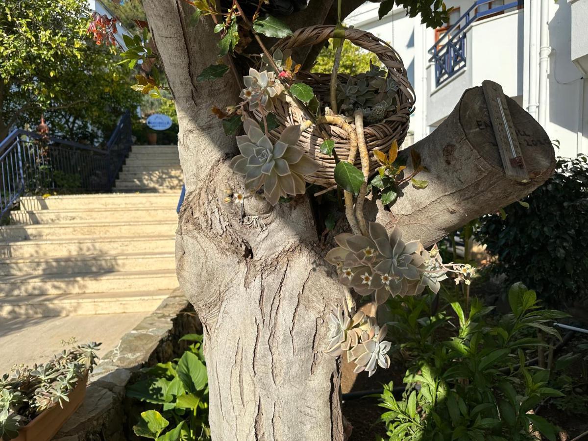 Naturella Apart Hotel Kemer Exteriör bild
